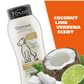 Wahl USA Dog Shampoo for Dry, Itchy Skin – Oatmeal, Coconut & Lime Scent, Gentle and Pet-Safe Formula, 24 oz