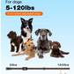 Waterproof Dog Training Collar with Remote – 3300Ft Range, Shock & Vibration for Small, Medium & Large Dogs (5–120 lbs)