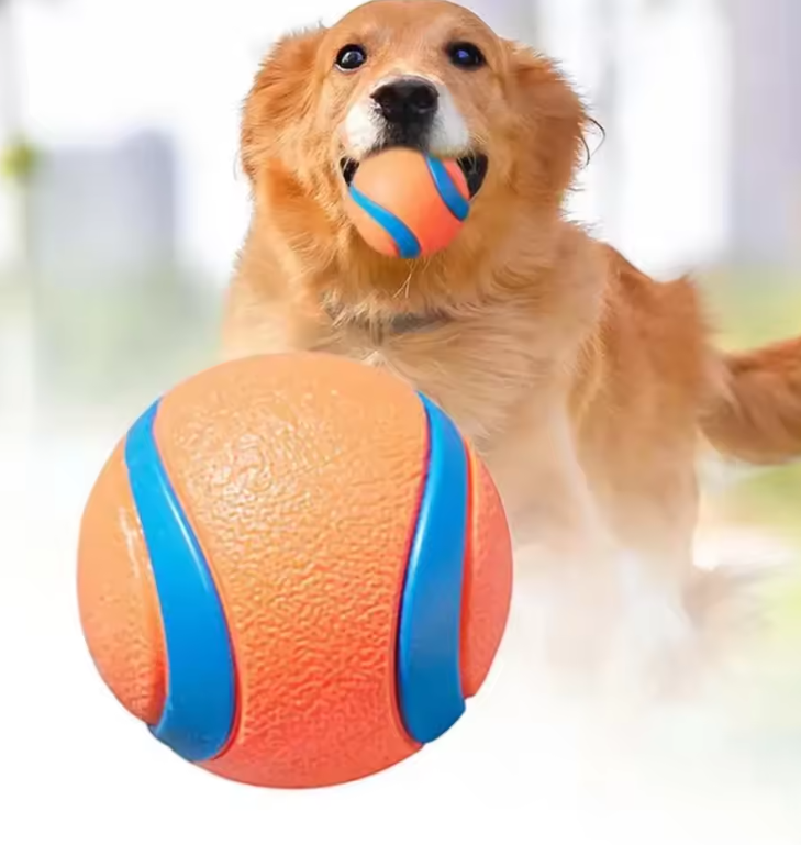 Durable Dog Chew Ball – Tough Bouncy Fetch Toy