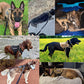 Large Dog Harness and Leash Set with MOLLE Pouches – Training and Walking Vest for German Shepherd, Malinois, and Medium to Large Dogs