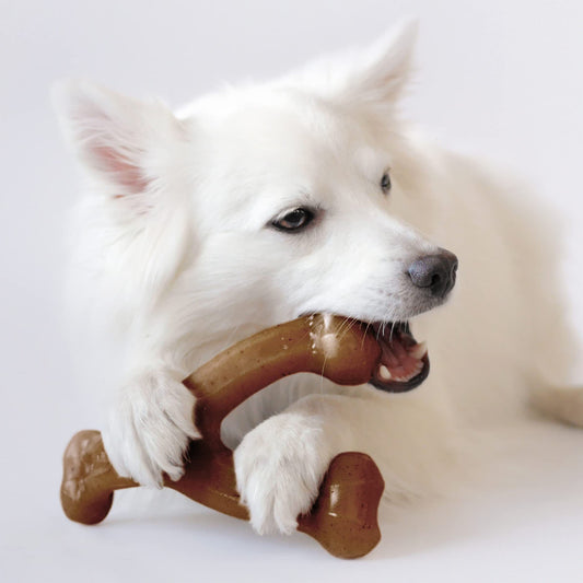 Durable Dog Chew Stick for Aggressive Chewers – Teeth Cleaning & Long-Lasting Toy