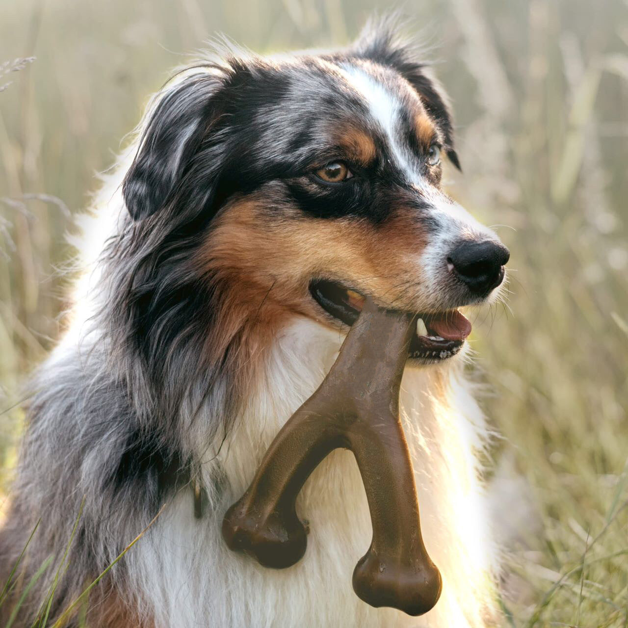 Durable Dog Chew Stick for Aggressive Chewers – Teeth Cleaning & Long-Lasting Toy