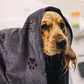 Microfiber Dog Drying Towel – Quick-Dry, Super Absorbent Pet Bath Towel for Dogs & Cats | Soft, Lightweight & Fast Drying