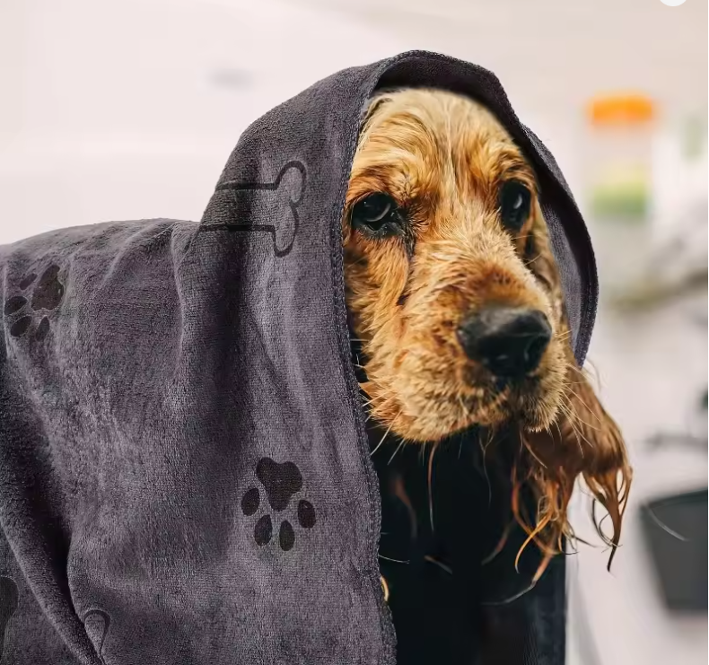 Microfiber Dog Drying Towel – Quick-Dry, Super Absorbent Pet Bath Towel for Dogs & Cats | Soft, Lightweight & Fast Drying