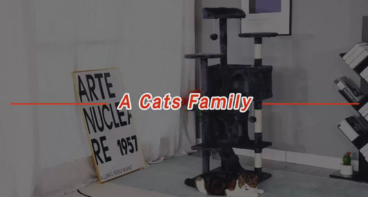 FDW 54-Inch Cat Tree Tower – Multi-Level Scratching Post, Condo & Playhouse for Indoor Cats with Cozy Platforms – Dark Gray