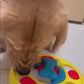 Interactive Dog Puzzle Toy & Slow Feeder for Puppies – Fun Food Dispenser Plate to Reduce Choking and Boost IQ