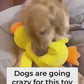 Calming Duck Dog Toy – Soft Yellow Plush Pillow with Quacking Sound for Stress Relief & Indoor Play (2025 New)